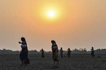 Climate Change Added 26 More Days of Extreme Heat in the Past 12 Months, Report Finds